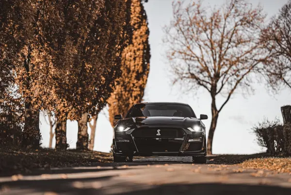 СупърНопеа Казино Android/iOS приложение